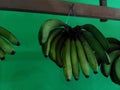 a spring of green banana