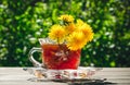 Spring green garden, bright yellow dandelions and a cup of hot herbal tea Royalty Free Stock Photo
