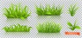 Spring, green grass. 3d vector icon set