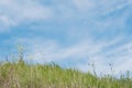 Spring green grass hill and blue clouds sky Royalty Free Stock Photo