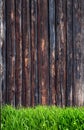 Spring green grass and leaf plant over wood fence background Royalty Free Stock Photo