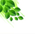 Spring green leaves background with watercolor Royalty Free Stock Photo