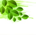 Spring green leaves background with watercolor Royalty Free Stock Photo