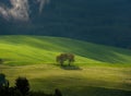 Spring green mountain landscape with meadows, fields and trees illuminated by the rising sun. Royalty Free Stock Photo