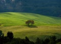 Spring green mountain landscape with meadows, fields and trees illuminated by the rising sun. Royalty Free Stock Photo