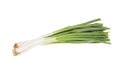 Spring green onion, isolated on the white Royalty Free Stock Photo