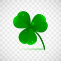 Spring green plant fhree leafed clover with dew, raindrops or waterdrops isolated on transparent background. Saint