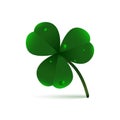 Spring green plant fhree-leafed clover with dew, raindrops or waterdrops on white background. St. Patrick`s day,, Saint, Patrick,