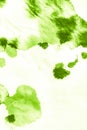 Spring Green Watercolor Texture. Organic Royalty Free Stock Photo