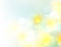 Spring green yellow blurred background.Sky and blurred meadow abstract illustration.Easter backdrop