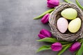 Spring greeting card. Easter eggs in the nest. Spring flowers tu Royalty Free Stock Photo