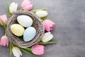 Spring greeting card. Easter eggs in the nest. Spring flowers tu Royalty Free Stock Photo