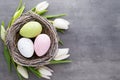 Spring greeting card. Easter eggs in the nest. Spring flowers tu Royalty Free Stock Photo