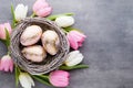 Spring greeting card. Easter eggs in the nest. Spring flowers tu Royalty Free Stock Photo