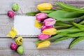 Spring Greeting card with empty blank. Easter Background with tulips, quail eggs Royalty Free Stock Photo