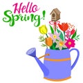 Spring greeting card - HELLO, SPRING. Blue metal watering can with spring flower of tulips and daffodils, with branches of Royalty Free Stock Photo