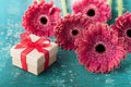 Spring greeting card on mother or womans day from fresh vibrant gerbera daisy flowers and gift or present on wooden table.