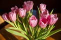 Close-up of a bouquet of 10 pink tulips with fresh green leaves on a wooden table Royalty Free Stock Photo