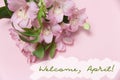 Spring greeting with flowers alstroemeria. Wods Welcome, April. top view, flat lay. Royalty Free Stock Photo