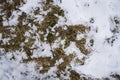 Spring ground covered with thawing snow