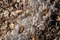 Spring ground covered with thawing snow