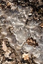 Spring ground covered with thawing snow