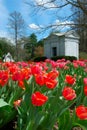 Spring Grove Cemetery Royalty Free Stock Photo