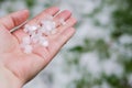 Spring hail in the girl`s hand Royalty Free Stock Photo