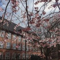 Spring in Hamburg Royalty Free Stock Photo