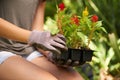 Spring, hands and woman in a garden with flowers, plant or checking leaf growth closeup outdoor. Backyard Royalty Free Stock Photo