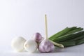 Spring harvest of onions and garlic.Fresh vegetable for salad Royalty Free Stock Photo