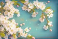 Blossoming Beauty Cherry Flowers in the Springtime Background Royalty Free Stock Photo