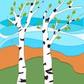 Spring has come. White birch trees with young leaves, awakening