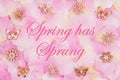 Spring has Sprung message with a pink rose flower petals Royalty Free Stock Photo