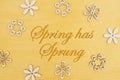 Spring has Sprung message with wood flower petals on hand painted distressed gold Royalty Free Stock Photo