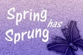 Spring has Sprung word message with metal butterfly