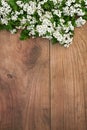 Spring Hawthorn Blossom Background Border