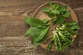Spring healthy food with wild garlic dandelion and nettle leaves