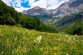 Spring in the heights of the alps in France