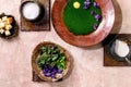 Spring herbasl nettle puree soup