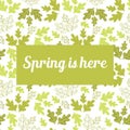 Spring is here . Doodle hand drawing green oak leaves on white background Royalty Free Stock Photo