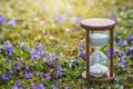 Hourglass in flowers as a symbol of spring Royalty Free Stock Photo