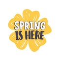 Spring Is Here phrase handwritten with modern calligraphic font or script on yellow blooming flower isolated on white