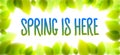 Spring is here words hand written, fresh green leaves blurred background, vector realistic illustration.