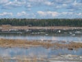 Spring. High water. Ice drift on Siberian river Yenisei. April. Royalty Free Stock Photo