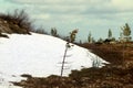 Spring on the hills of Lapland