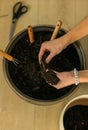 Spring hobby close up woman transplanting in flower pot houseplant with dirt or soil at home. Gardening plant and green