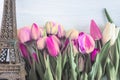 Spring holiday background with fresh tulips