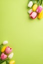 Top view vertical photo of fresh flowers bunches of colorful tulips on isolated light green background with empty space