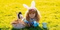 Spring holiday. Kid boy lying on the grass and finding easter eggs. Child boy with easter eggs and bunny ears on grass Royalty Free Stock Photo